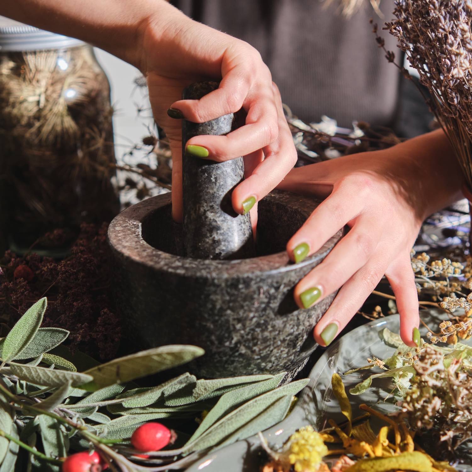 phytotherapie-pharmacie-beauxbatons-masny